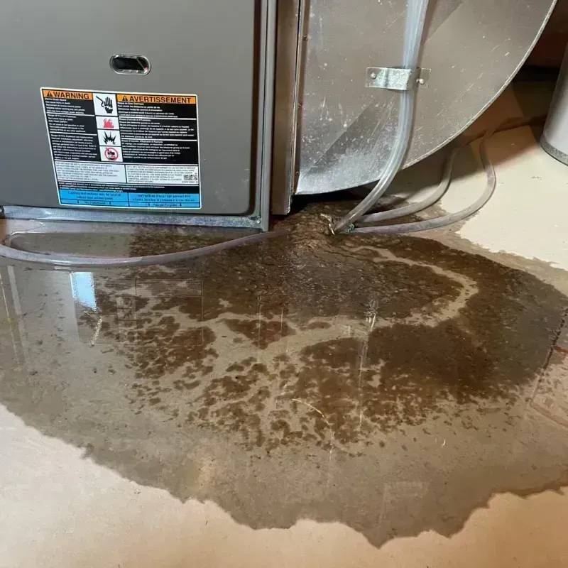 Appliance Leak Cleanup in Lewis County, WV